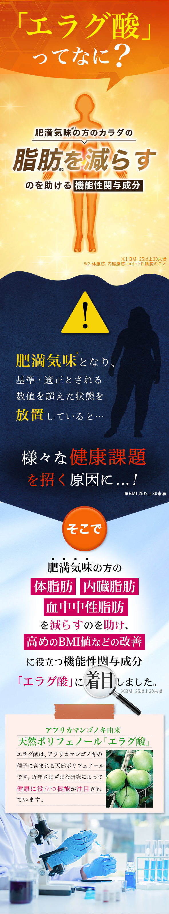 エラグ酸ってなに？