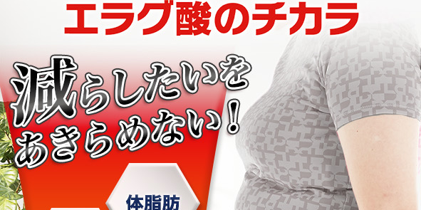 ナイスリムサポートエラグ酸のチカラ 
